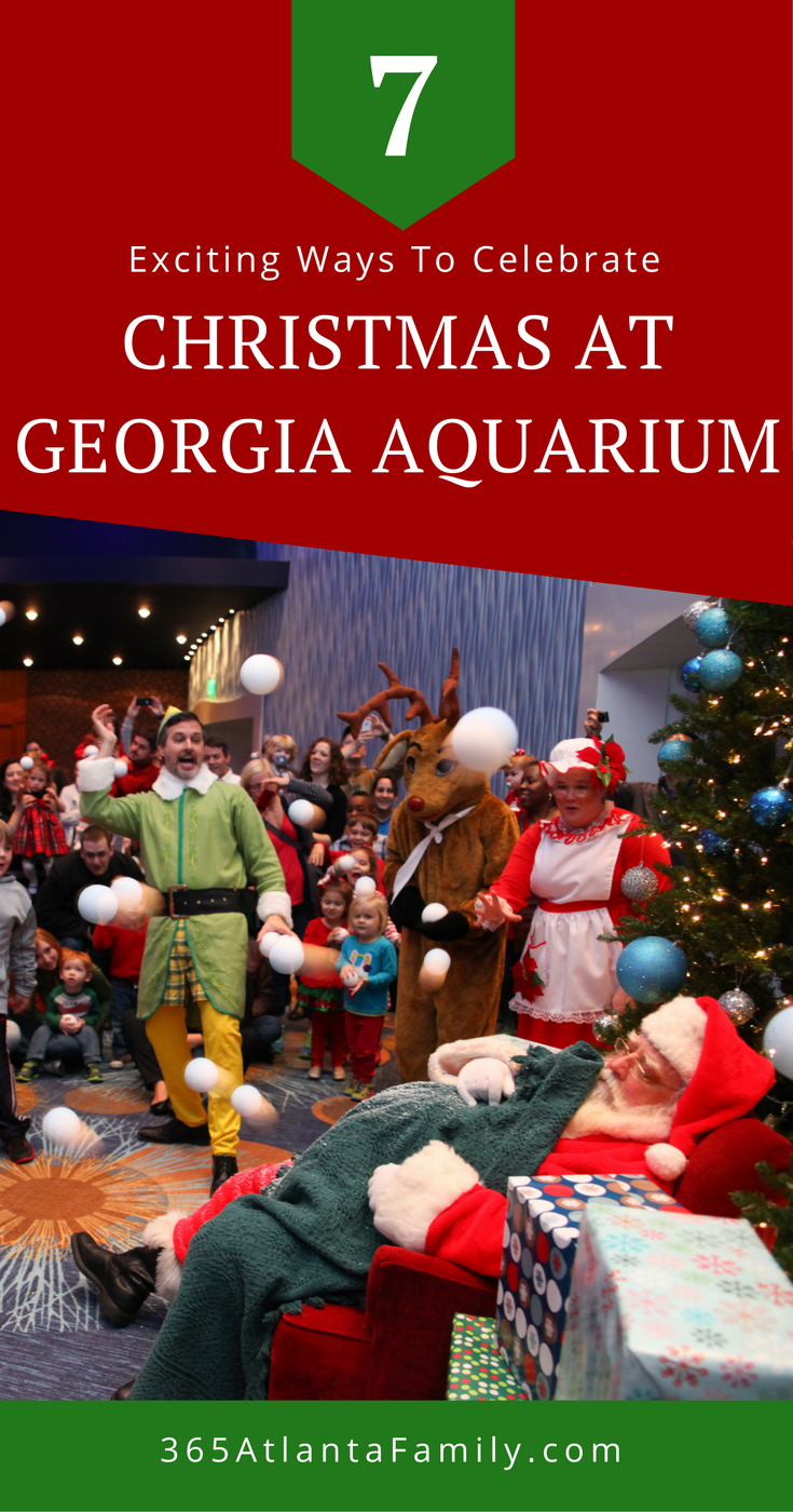 7 Exciting Ways to Celebrate Christmas at Aquarium