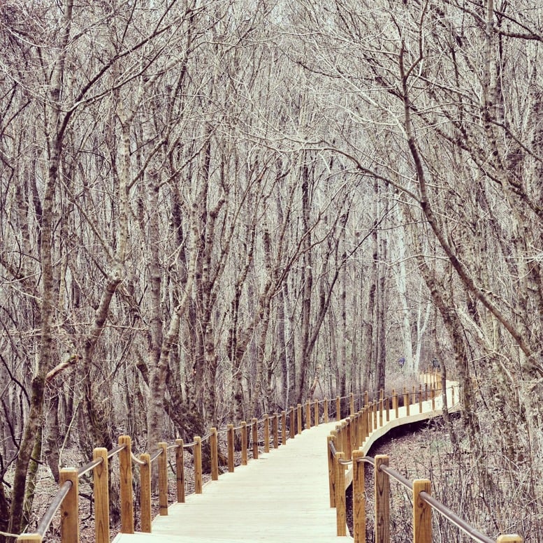 heritage park trail