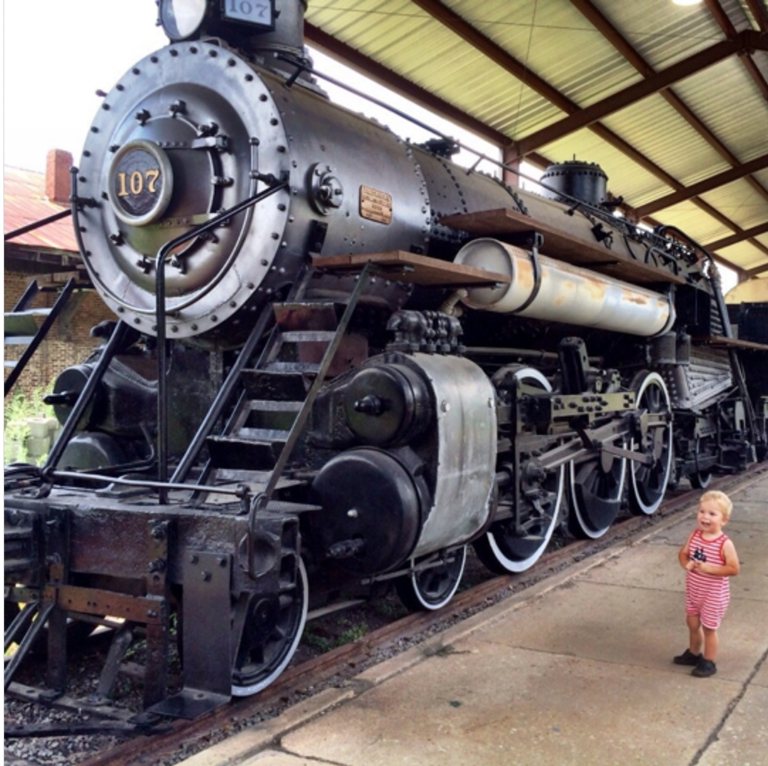 Albany, Georgia: The Ultimate Guide To Family Fun 6 Albany, Georgia: The Ultimate Guide To Family Fun