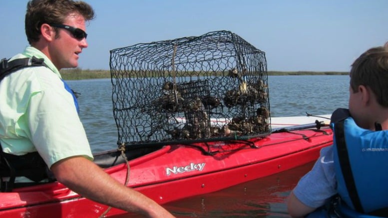 The Cloister at Sea Island Crabbing