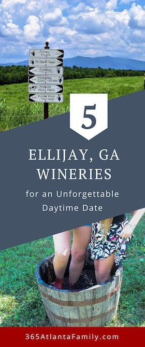 6 Ellijay Winery Options for an Unforgettable Daytime Date 4 Ellijay Winery