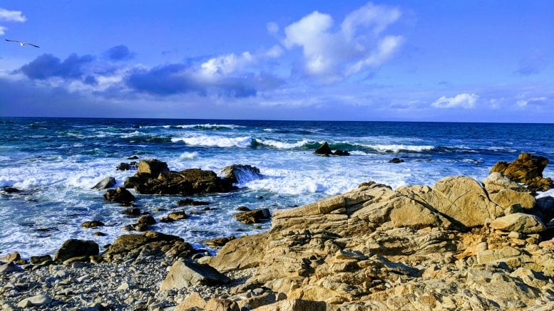 Central Coast California - Pebble Beach