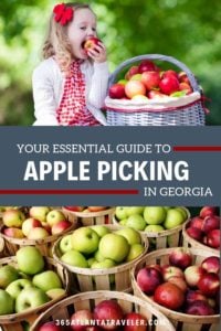 2021 Essential Apple Picking in Georgia Guide 6 2021 Essential Apple Picking in Georgia Guide