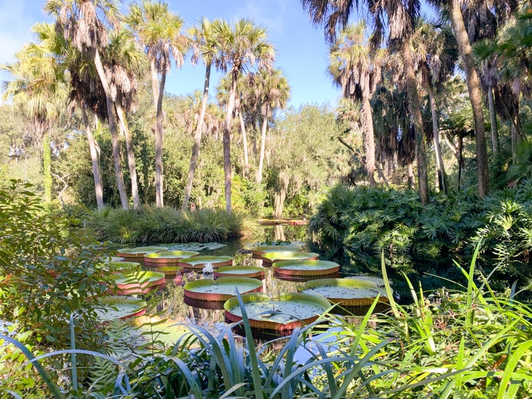 43+ Unique & Awesome Things To Do In Central Florida (Beyond Disney) 3 bok tower garden