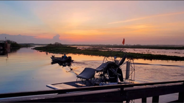 43+ Unique & Awesome Things To Do In Central Florida (Beyond Disney) 5 grape hammock