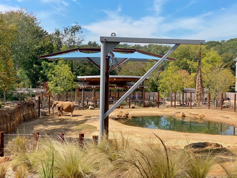 9 Big Questions (+ Answers) That Everyone Asks About Zoo Atlanta 1 Zoo Atlanta