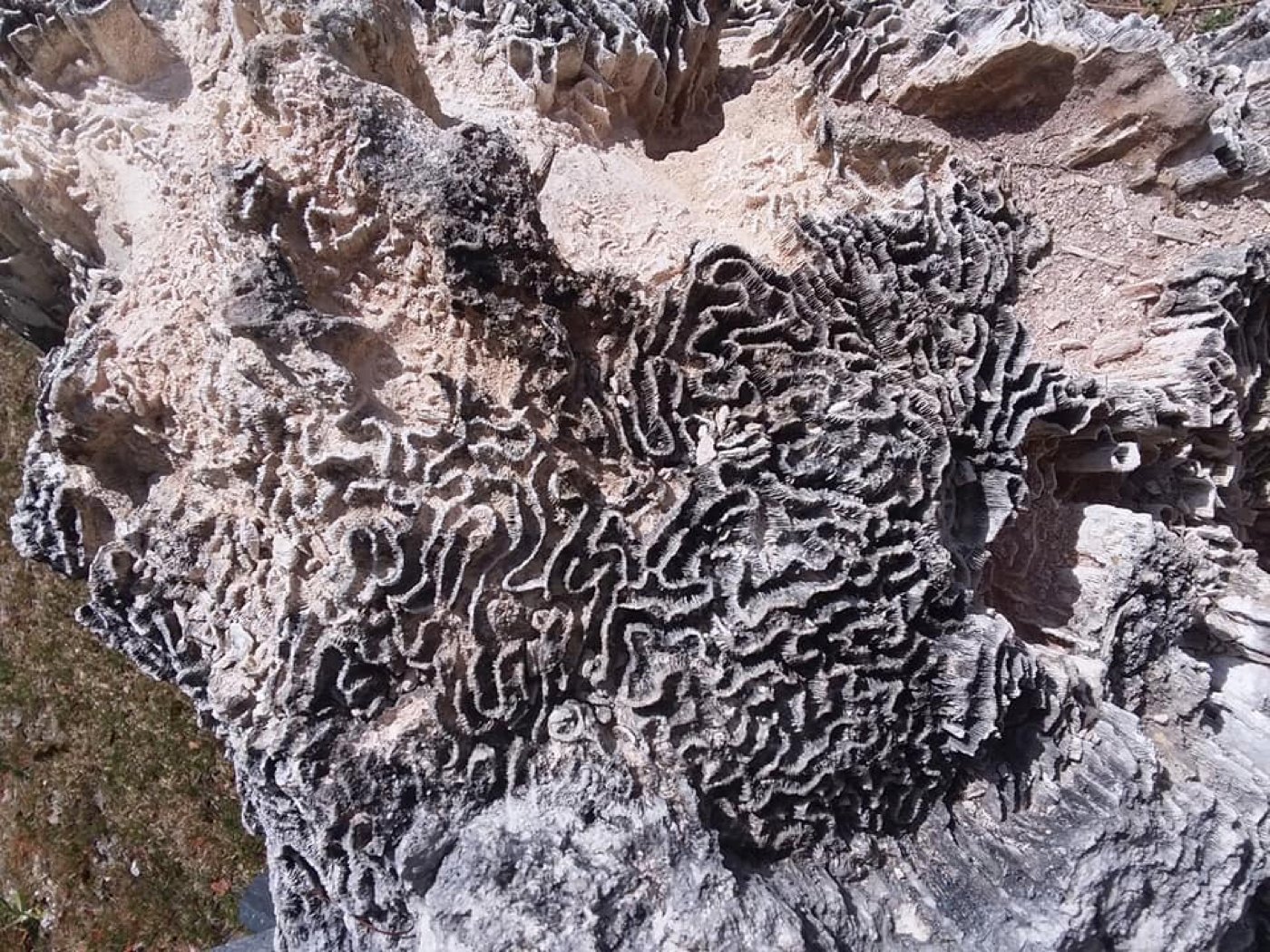 17 Things To Do in Islamorada for Fun in the Sun