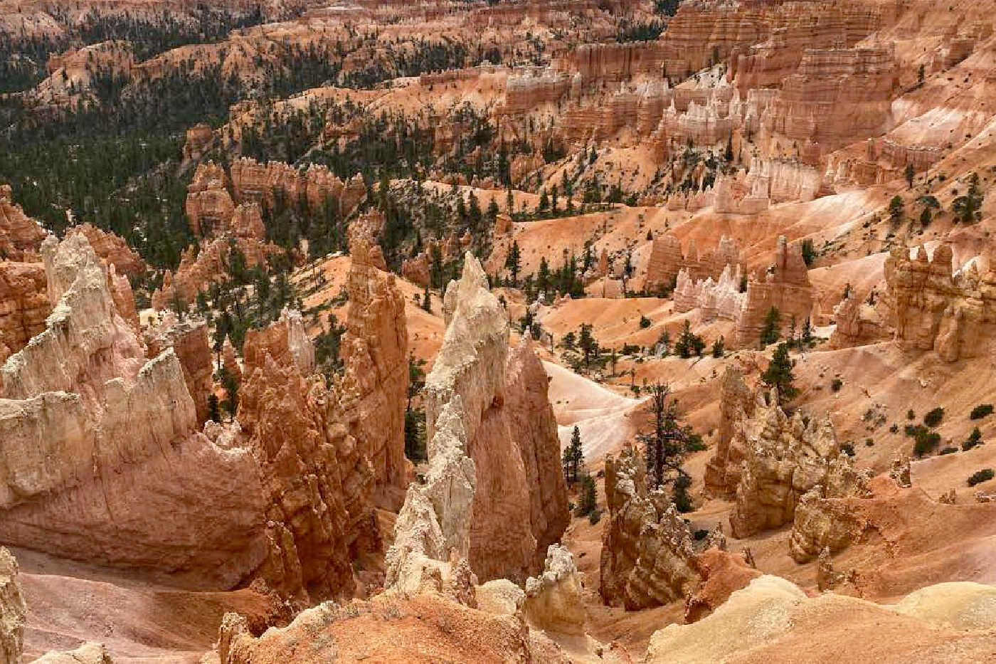 13 Best Hikes in Bryce Canyon for Families