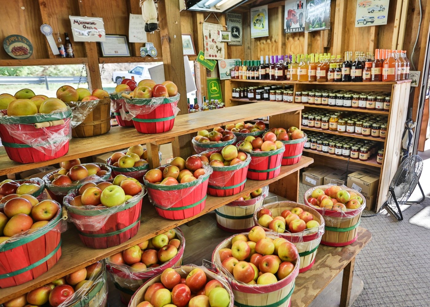 31 Sensational Things To Do in Ellijay GA (When You Leave the Kids at Home)
