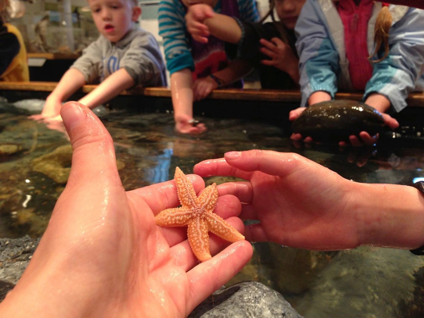 16 Outstanding Things To Do in Bar Harbor Maine - George B. Dorr Museum Of Natural History