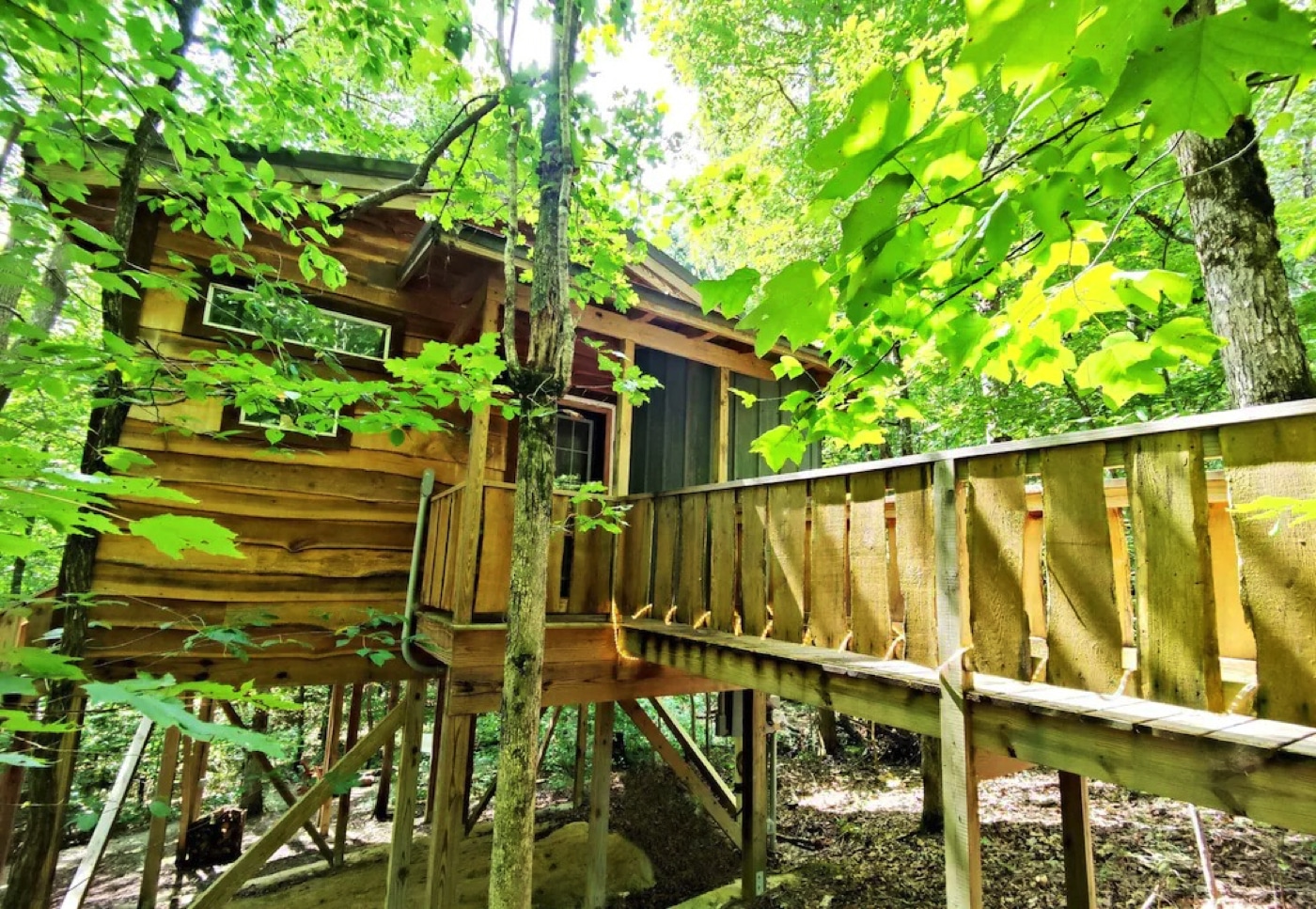 22 Sensational Treehouse Rentals Tennessee Offers Vacationers