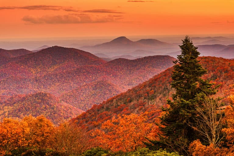 Brasstown Bald What To Expect on Your Epic Fall Summit Hike (2023)