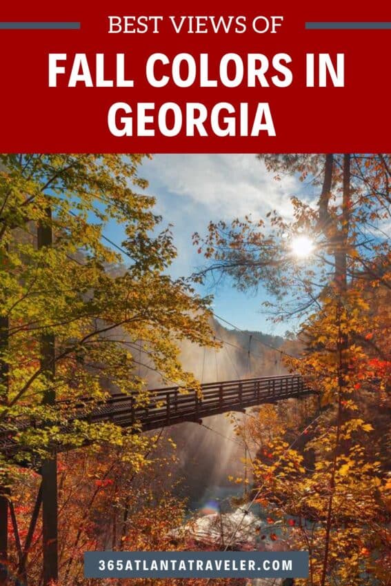 Fall Colors in Georgia 2024: When and Where To Get the Best Views