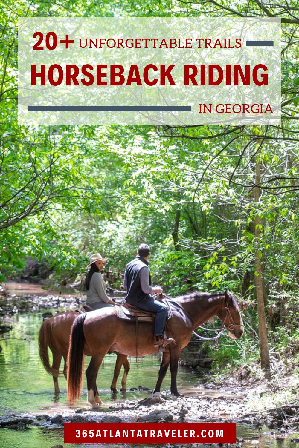 Horseback Riding Near Me 19+ Trail Rides