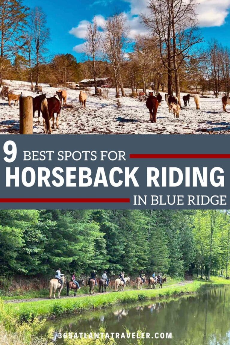 Horseback Riding Blue Ridge Ga 9 Best Spots for Fun in the Mountains