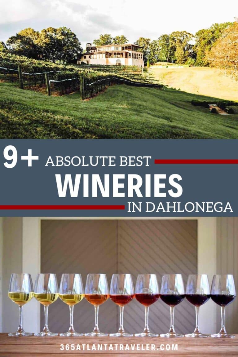 9+ Amazing Dahlonega Wineries You’ll Definitely ‘Cheers’ For