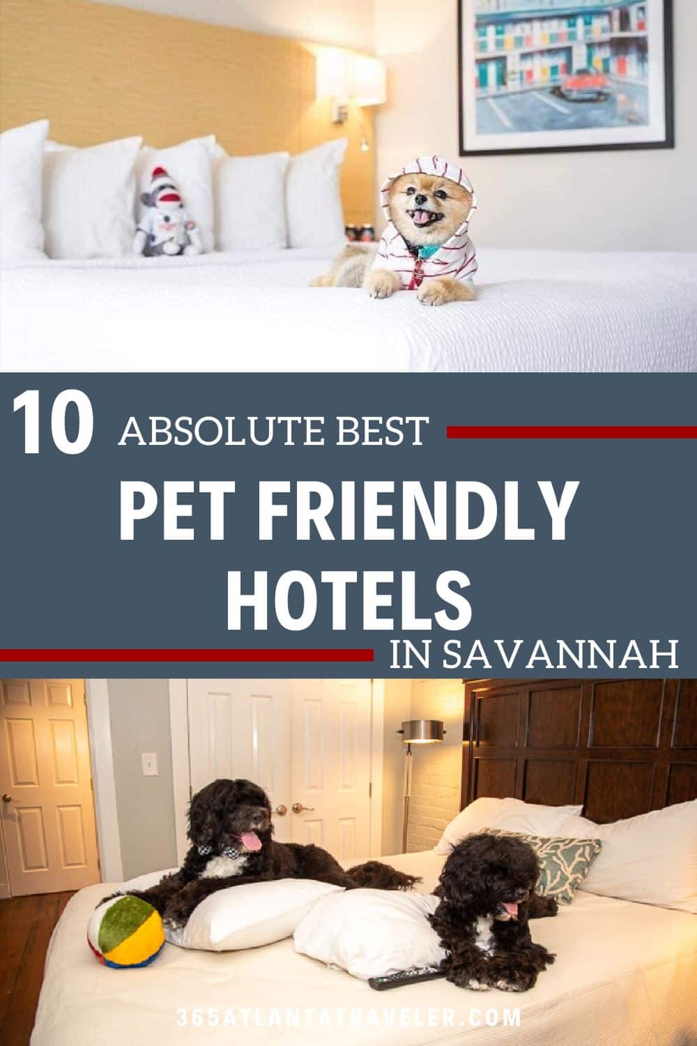 10 'Pawsome' Pet Friendly Hotels Savannah GA Offers for Your Next Vacation