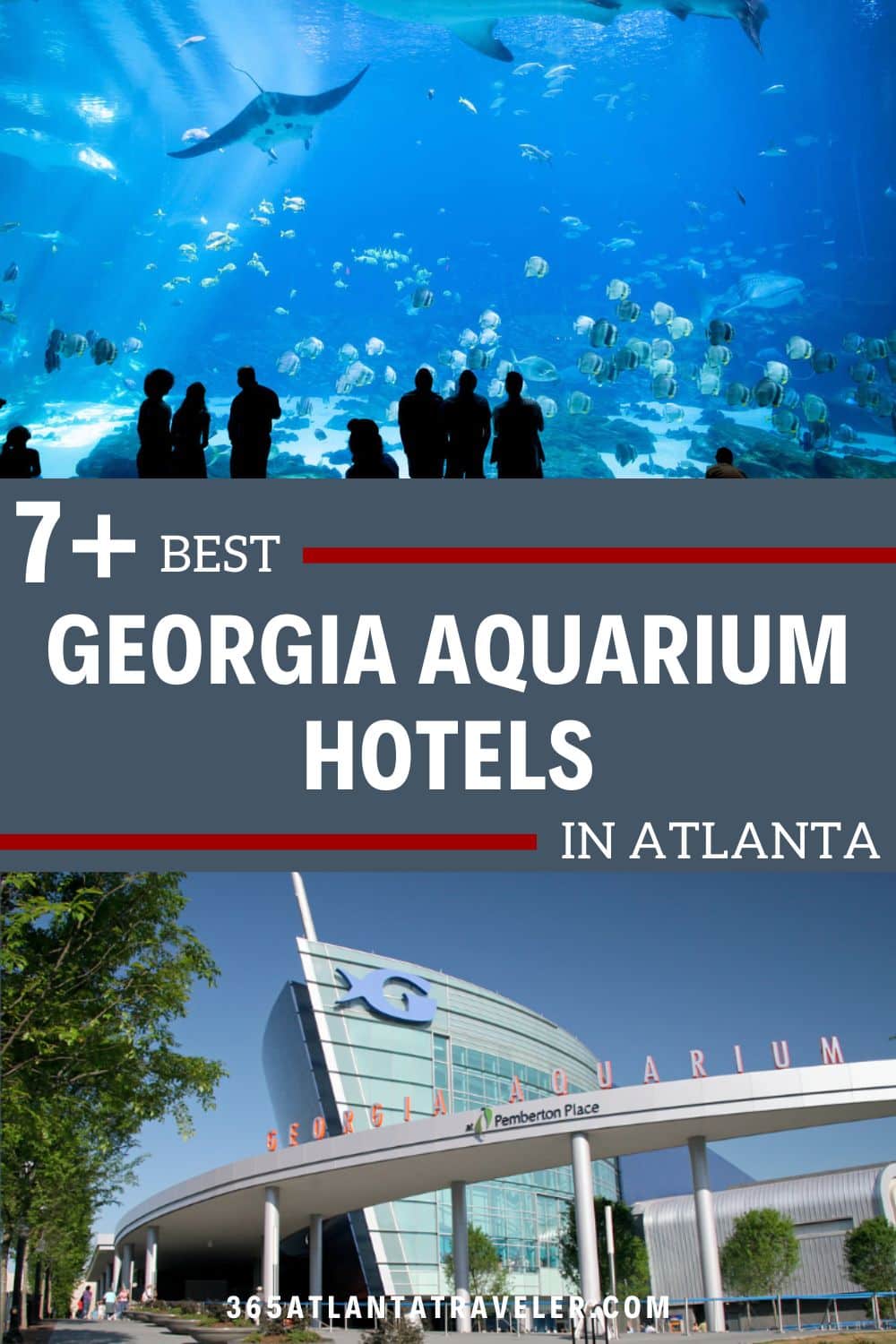 Hotels Near Atlanta Aquarium 7+ Best Places to Stay Near Aquarium