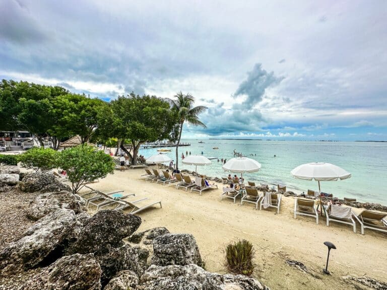Things To Do in Florida Keys: 21+ Fun Options You’ll Adore