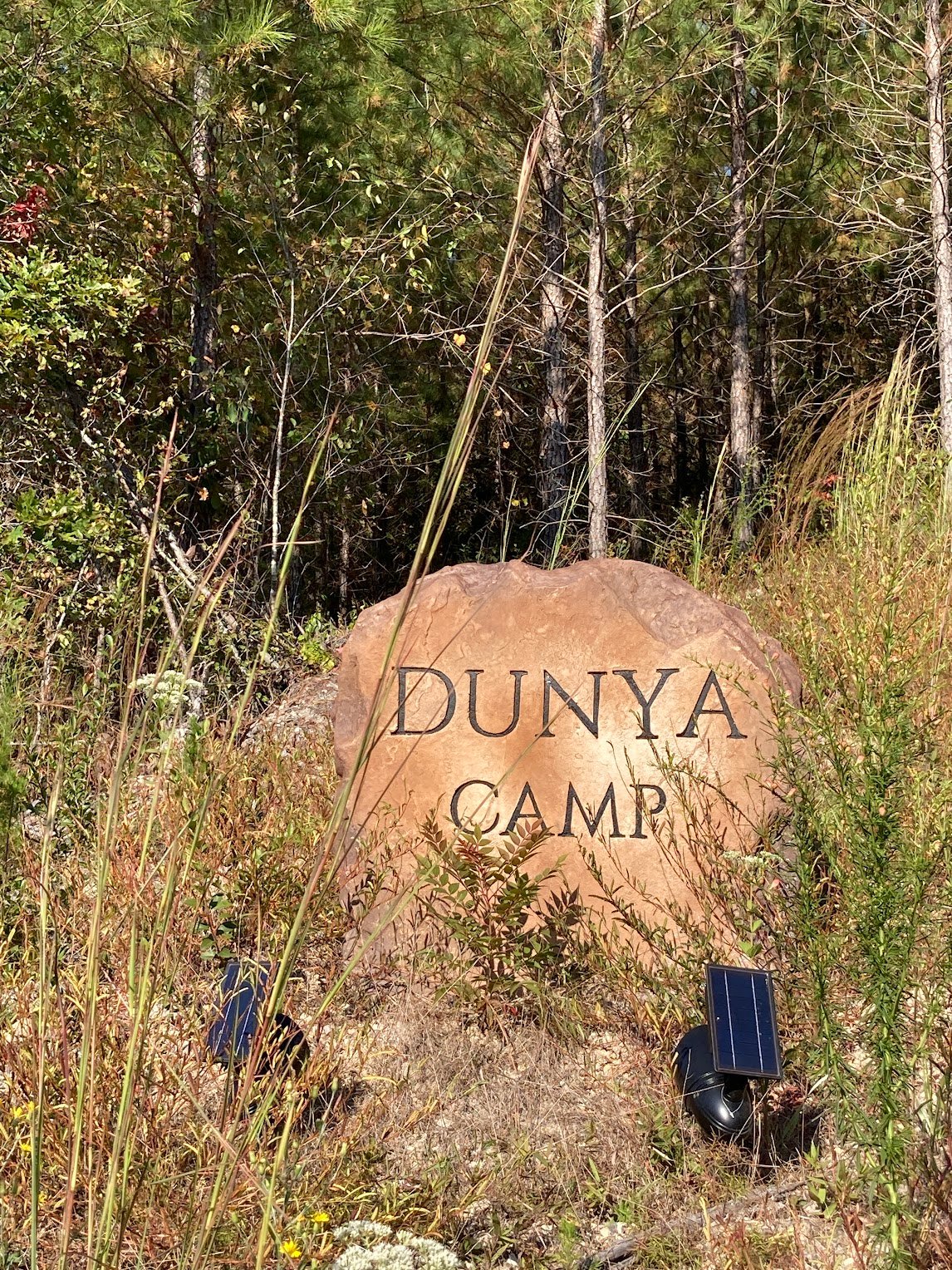Dunya Camp: A Secret Escape in Northwest Georgia