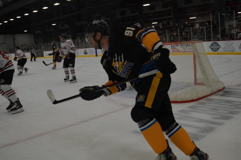 Hit the Ice with The Blue Ridge Bobcats in their Inaugural Season