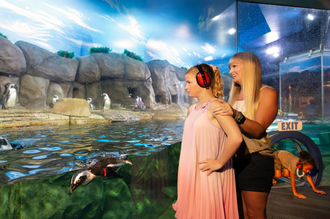Best Travel Locations for Families with Neurodivergent Children