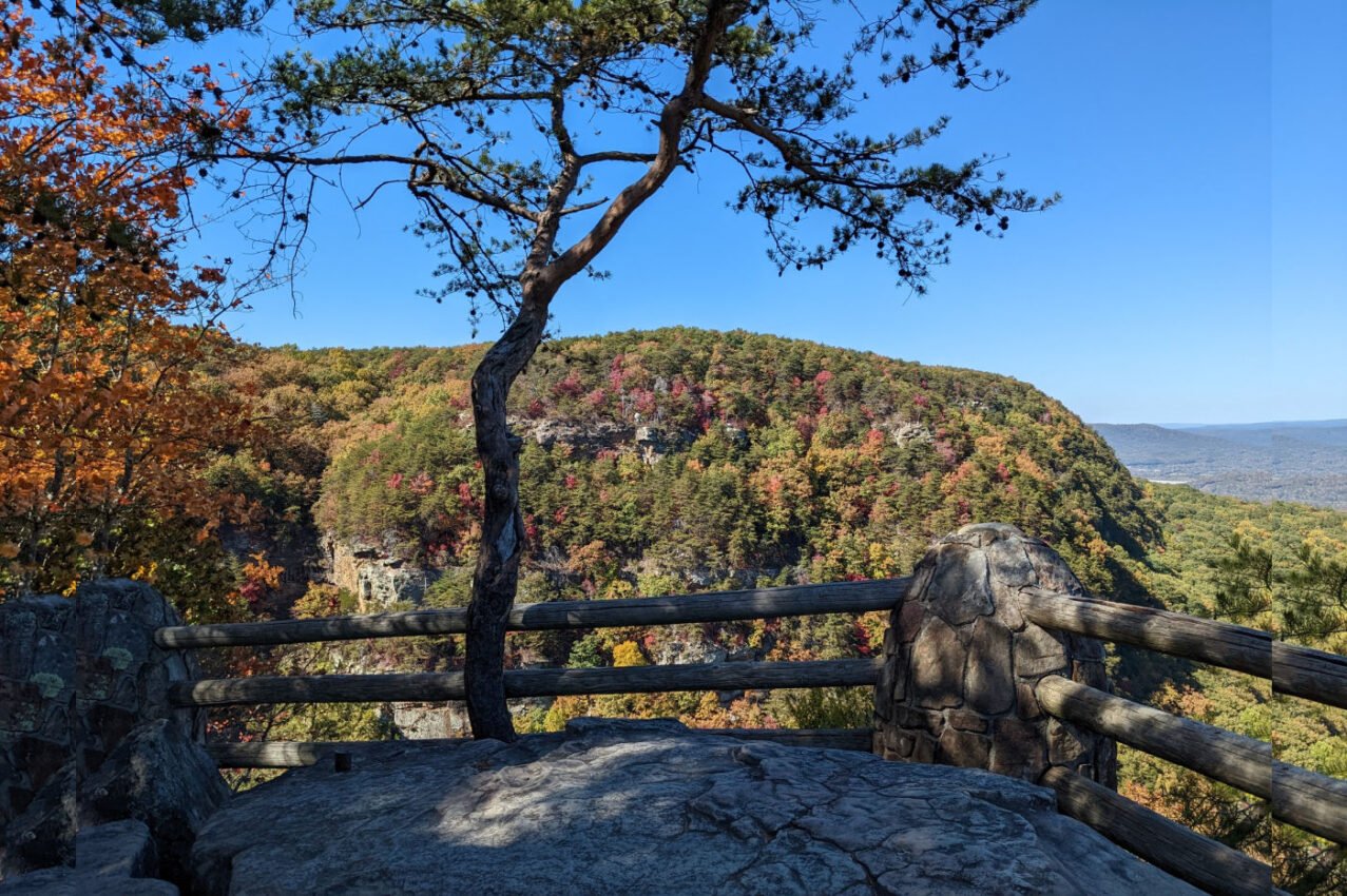 Fall Colors in Georgia 2024: When and Where To Get the Best Views