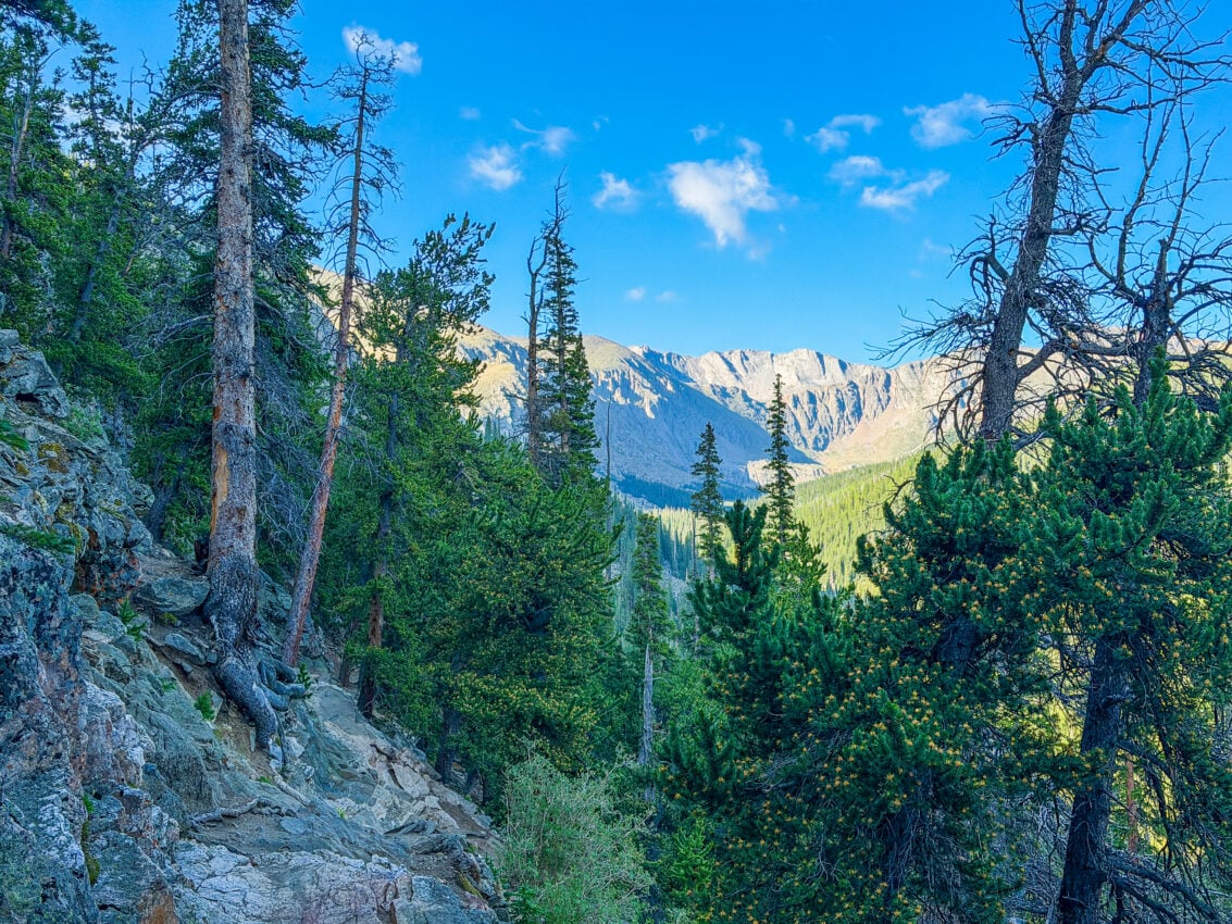 I Tested the Hiking Shoe That Claims to Rival $200 Brands — Here's My Honest Take 1 I Tested the Hiking Shoe That Claims to Rival $200 Brands — Here's My Honest Take